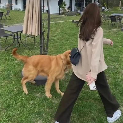 一年之痒